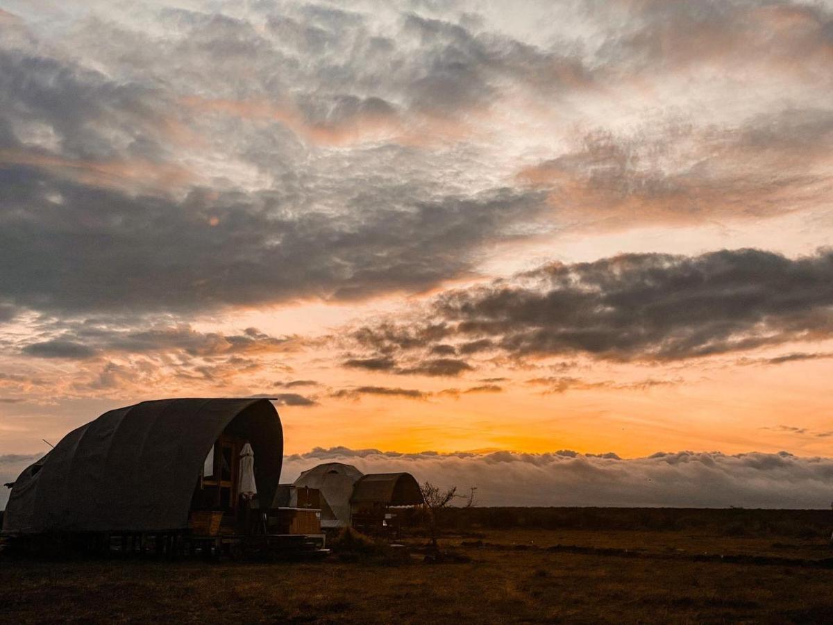 Amanya 1 -Bed King Lion Tent Amboseli Exterior photo